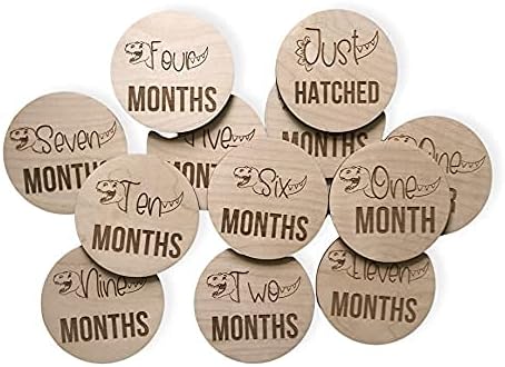 Dinosaur Engraved Picture Props, Dino Newborn Photo Cards, T- Rex Wood Infant Disc, First Year, Birth Announcement Baby Monthly Milestone Markers Wooden Sign Shower Gift Set Newborn - Image 7