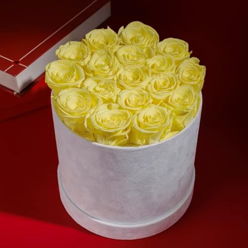 Prifroti 17 Flowers in a Luxury Suede Box, Birthday Gifts for Women, Preserved Flowers, Mothers Day Roses Gift for Mom, Yellow - Image 5
