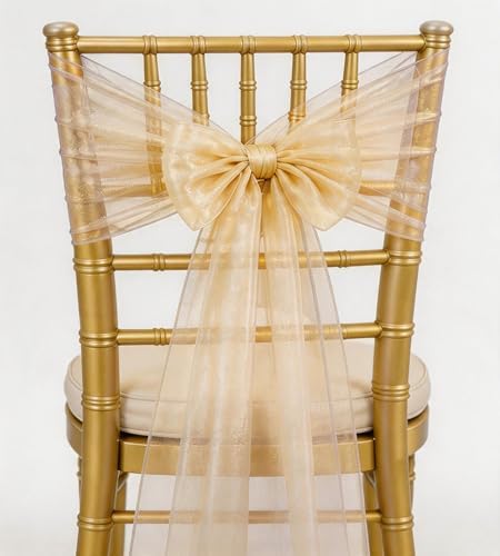 Set of 100 Organza Sheer Chair Sashes Bows Ties 7x108 inches for Wedding Party Event Banquet Restaurant Christmas Decoration (Champagne) by WENSINL