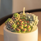 Assorted Succulent Pot Scented Candle,Baby Shower Favors Decoration, Delicate Decorative Candle Valentine's Day Birthday House-Warming Party Spa Home Decorate - Image 5