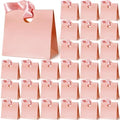 Feifeiya 30 Pcs Small Pink Gift Bags with Ribbon Handle by Feifeiya