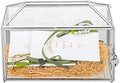 NCYP 12.6" x 5.9" x 9" Wedding Glass Cards Box with Slot and Lock, Thanks Card Holder for Micro Wedding, Envelops, Reception, Decorative, Silver (Glass Box Only) Slot Length 7.3 Inches by NCYP
