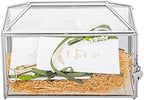NCYP 12.6" x 5.9" x 9" Wedding Glass Cards Box with Slot and Lock, Thanks Card Holder for Micro Wedding, Envelops, Reception, Decorative, Silver (Glass Box Only) Slot Length 7.3 Inches by NCYP