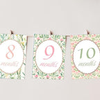 Personalized Baby Milestone Cards – 13 Printed Two Sided Cards with Welcome Card, Monthly Baby Milestones 1–12 Months, First Year Baby Keepsake - Image 7