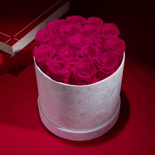 Prifroti 17 Flowers in a Luxury Suede Box, Birthday Gifts for Women, Preserved Flowers, Mothers Day Roses Gift for Mom, Hot Pink - Image 2