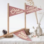 Baby Monthly Milestone Pennant Flag Signs | Natural Wood and Soft Felt | Baby First Year Photo Props, Nursery Decor, Newborn Birth Announcement, Baby Shower, Newborn Gift, Pregnancy Journey, Keepsake (Pink) by BYMARUE