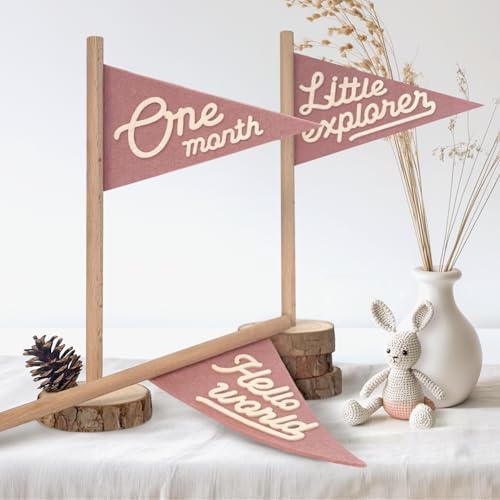 Baby Monthly Milestone Pennant Flag Signs | Natural Wood and Soft Felt | Baby First Year Photo Props, Nursery Decor, Newborn Birth Announcement, Baby Shower, Newborn Gift, Pregnancy Journey, Keepsake (Pink) by BYMARUE