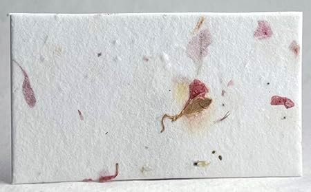 Of The Earth Handmade Paper - Wildflower Seed Paper Panel Card - Place/Name/Gift - 3.5" x 2" - Set of 48 (24s Pink Petal) - Image 2