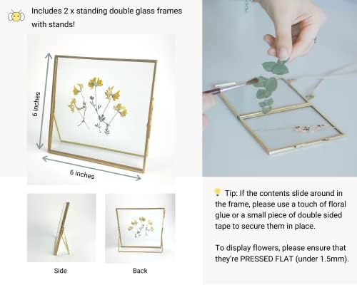Beedecor Double Glass Frame for Pressed Flowers, Leaf and Artwork,Bronze 6x6 Standing Square Metal Picture Frames, Set of 2 Pressed Flower Frames with Stand (Antique bronze, 6x6) - Image 4