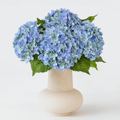 ZYTUYO 20 inches 4 Pcs Blue Green Real Touch Hydrangea Artificial Flowers Boho Lifelike Real Looking Latex Hydrangeas Flower with Long Stem for Home Decor Spring Table Centrepiece by ZYTUYO
