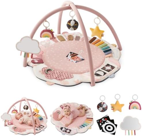 Blissful Diary Baby Play Gym, 5 Development Zones Activity Tummy Time Mat by BlissfulDiary