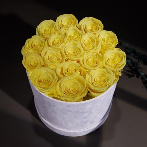 Prifroti 17 Flowers in a Luxury Suede Box, Birthday Gifts for Women, Preserved Flowers, Mothers Day Roses Gift for Mom, Yellow - Image 3