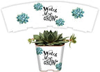 Succulent Pot Wrap for Wedding Favors, Baby or Bridal Shower | Fits 2 Inch Square Pots | Peel and Stick Vinyl | Does Not Include Mini Live Plant or Pot (50 Wraps, Succulents Watch Me Grow) by PRODUCT80