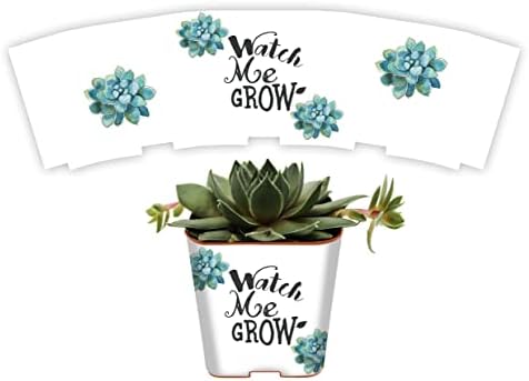 Succulent Pot Wrap for Wedding Favors, Baby or Bridal Shower | Fits 2 Inch Square Pots | Peel and Stick Vinyl | Does Not Include Mini Live Plant or Pot (50 Wraps, Succulents Watch Me Grow) by PRODUCT80