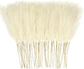 obbsie 150PCS Beige Faux Pampas Grass Decor, 21.6" Fluffy Vase Filler by ObbsieDirect