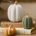 WDS WONDROUS Fall Pumpkin Decor, Faux Artificial Pumpkin for Home Table by WDSWONDROUS