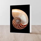 CafePress Nautilus Shell Greeting Cards Greeting Card (20-pack), Note Card with Blank Inside, Birthday Card Matte - Image 4