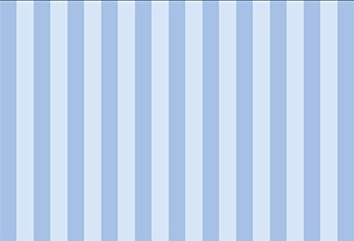 Leyiyi 8x6ft Photography Background Striped Backdrop Happy Birthday Party Vertical Horizontal Stripes Icecream Boy Blog Make Up Vlogger Summer Ocean Water Baby Shower Photo Portrait Vinyl Studio Prop - Image 4