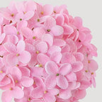 ZYTUYO 20 inches 4 Pcs Soft Pink Real Touch Hydrangea Artificial Flowers Boho Lifelike Real Looking Latex Hydrangeas Flower with Long Stem for Home Decor Spring Table Centrepiece - Image 6