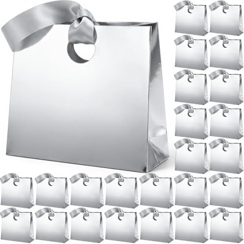 Feifeiya 30 Pcs Medium Silver Gift Bags with Ribbon Handle by Feifeiya