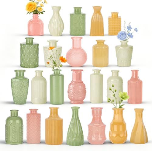 TBWIND 24 Pcs Colorful Glass Bud Vase Set，Small Flower Vases by TBWIND