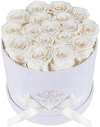 Prifroti 17 Flowers in a Luxury Suede Box, Birthday Gifts for Women, Preserved Flowers, Mothers Day Roses Gift for Mom, White by Prifroti