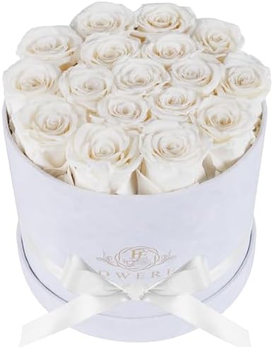 Prifroti 17 Flowers in a Luxury Suede Box, Birthday Gifts for Women, Preserved Flowers, Mothers Day Roses Gift for Mom, White by Prifroti