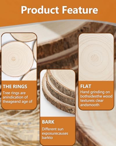 Set of (10) 11-13 Inches Large Wood Slices, Wood Centerpieces for Tables - Image 6