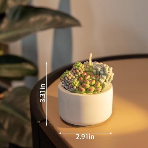 Assorted Succulent Pot Scented Candle,Baby Shower Favors Decoration, Delicate Decorative Candle Valentine's Day Birthday House-Warming Party Spa Home Decorate - Image 6