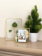 Beedecor Double Glass Frame for Pressed Flowers, Leaf and Artwork - Gold 4x4 Standing Square Metal Picture Frames, Tabletop Clear Floating Pressed Glass Frame, Home Decor Photo Display, Set of 2 - Image 5