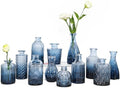 TBWIND 12Pcs Blue Glass Bud Vases Set, Small Vases for Flowers by TBWIND