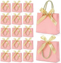 EQOREIIN 24 PCS Small Gift Bags with Handles, 5.5x 2.5x4.7 Inches Mini Bag by EQOREIIN