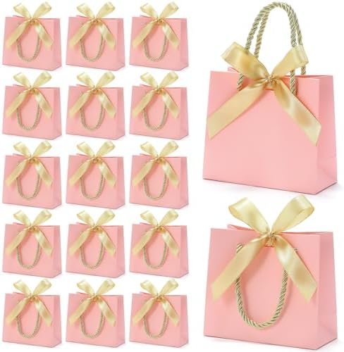 EQOREIIN 24 PCS Small Gift Bags with Handles, 5.5x 2.5x4.7 Inches Mini Bag by EQOREIIN