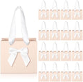 Kolldenn 50 Pcs Small Light Pink Gift Bags Bulk with Bow Ribbon Handles by Unknown