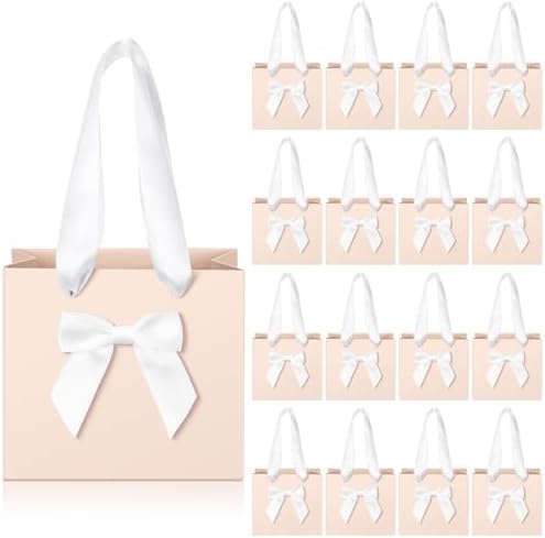 Kolldenn 50 Pcs Small Light Pink Gift Bags Bulk with Bow Ribbon Handles by Unknown