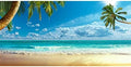 Laeacco Summer Seaside Beach Scenic 20x10ft Vinyl Photography Background Crooked Palms Blue Sky Clouds Surging Waves Scene Backdrop Wedding Shoot Eatery Landscape Wallpaper Birthday Party Banner Luau by Laeacco
