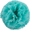 Aqua Blue Tissue Paper 15 Inch x 20 Inch - 480 Sheet Pack by A1+Bakery+Supplies