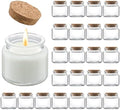 Danmu 3oz Candle Jars,Small Glass Jars with Lids for Making Candles 24 Pack by Danmu
