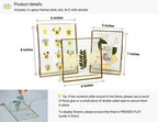 Beedecor Double Glass Frame for Pressed Flowers, Leaf and Artwork Set of 3 Pressed Flower Frames with Stand - 6x6, 5x7 and 6x8 Gold Standing Square Metal Picture Frames, Tabletop Clear Floating Pressed Glass Frame, Home Decor Photo Display (Gold, Set o... - Image 4