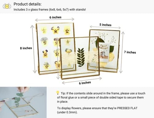 Beedecor Double Glass Frame for Pressed Flowers, Leaf and Artwork Set of 3 Pressed Flower Frames with Stand - 6x6, 5x7 and 6x8 Gold Standing Square Metal Picture Frames, Tabletop Clear Floating Pressed Glass Frame, Home Decor Photo Display (Gold, Set o... - Image 4