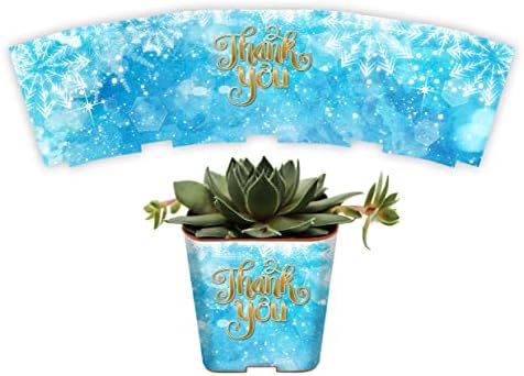 PRODUCT80 Succulent Pot Wraps for Wedding Favors, Baby Shower or Bridal | Fits 2 Inch Square Pots Peel & Stick Vinyl Does Not Include Mini Live Plant (50 Wraps, Snowflakes Thank You) by PRODUCT80