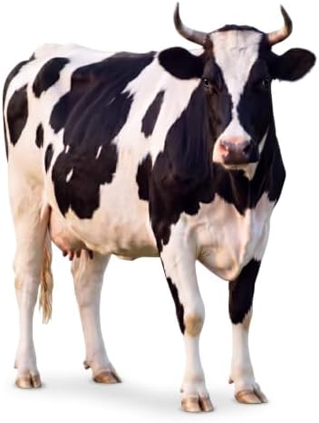 Funrous 5 ft Realistic Cow Cardboard Stand-up Party Decor, 1 Pcs - Image 2