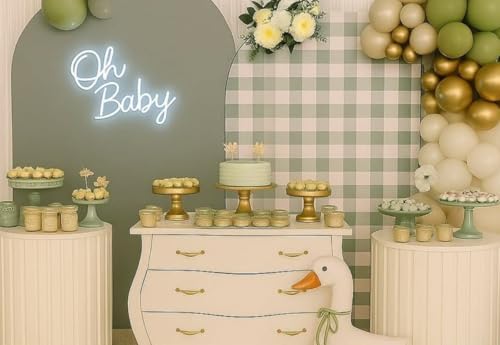 Light Green Plaids Arch Backdrop Cover 6.6FT Silly Goose Theme Gingham Arch Stand Cover for Baby Shower First Birthday Party Decorations - Image 7