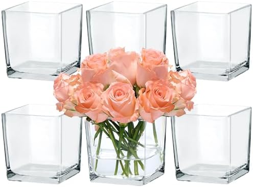CONNOO 6 Pack 5" x 5" x 5" Clear Square Glass Vase for Centerpieces by CONNOO