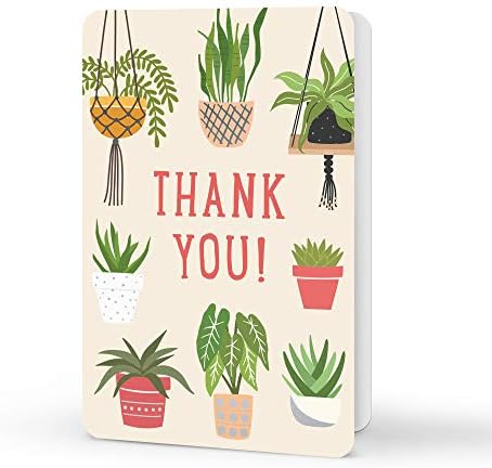 Studio Oh! Note Card & Sticker Set Grow with Me Thank You - Set of 12-3.5" x 5.25" Blank Cards with Envelopes and Stickers - Includes 3 Cards Each of 4 Designs - Image 3