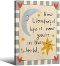 Wrapped Framed Colorful Kids Quotes Motivational Wall Art 16x24 inch HOW WONDERFUL LIFE IS NOW YOU'RE IN THE WORLD Poster Cute Moon And Stars Canvas Prints Nursery Classroom Wall Decor by Medpol