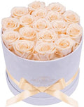 Prifroti 17 Flowers in a Luxury Suede Box, Birthday Gifts for Women, Preserved Flowers, Mothers Day Roses Gift for Mom, Champagne by Prifroti