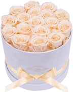 Prifroti 17 Flowers in a Luxury Suede Box, Birthday Gifts for Women, Preserved Flowers, Mothers Day Roses Gift for Mom, Champagne by Prifroti