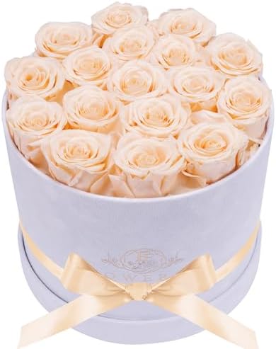 Prifroti 17 Flowers in a Luxury Suede Box, Birthday Gifts for Women, Preserved Flowers, Mothers Day Roses Gift for Mom, Champagne by Prifroti