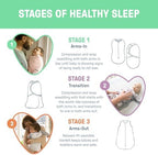SwaddleMe by Ingenuity Easy Change Baby Swaddle in Size Small/Medium, 0-3 Months, 7-14 Pounds, 12-Pack with Easy Change Zipper - Little Bees - Image 6